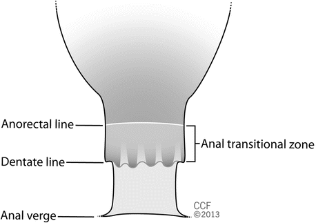 A322318_1_En_8_Fig2_HTML