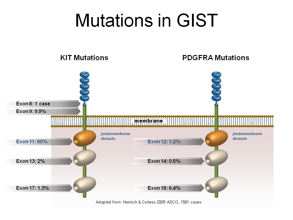 Mutation-frequency-in-GIST_Kier1